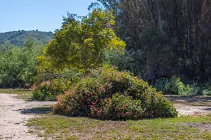 870 Lasalle Canyon Rd, Lompoc, CA 93436 - Photo 29