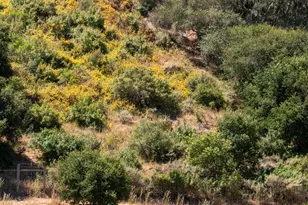 8630 Santa Rosa Rd, Buellton, CA 93427 - Photo 45