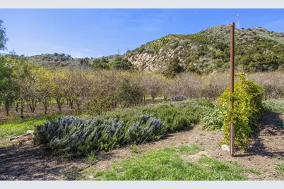 4620 Casitas Pass Road, Ventura, CA 93001 - Photo 47
