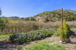 4620 Casitas Pass Rd, Ventura, CA 93001 - Photo 47