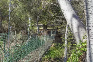 4620 Casitas Pass Rd, Ventura, CA 93001 - Photo 29