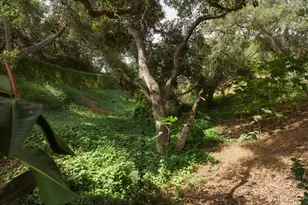 1102 Plaza Del Monte, Santa Barbara, CA 93101 - Photo 35