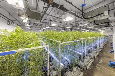 44211 Yucca Avenue, Out Of Area, CA 93534 - Photo 37