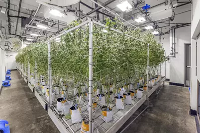 44211 Yucca Avenue, Out Of Area, CA 93534 - Photo 35