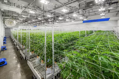 44211 Yucca Avenue, Out Of Area, CA 93534 - Photo 33