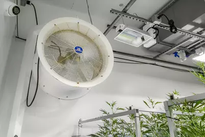 44211 Yucca Avenue, Out Of Area, CA 93534 - Photo 25