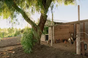 5501 Baseline Ave, Santa Ynez, CA 93460 - Photo 103