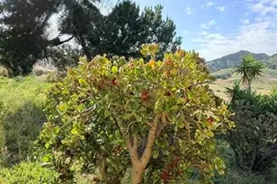 [Address not provided], Santa Maria, CA 93454 - Photo 43