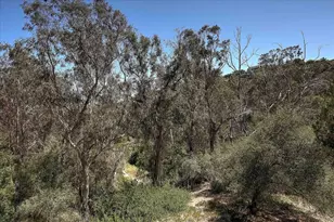 973 Miramonte Dr, Santa Barbara, CA 93109 - Photo 19