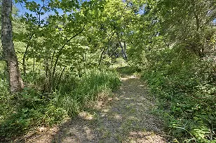 1743 San Marcos Pass Rd, Santa Barbara, CA 93105 - Photo 51