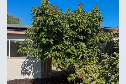 5397 Stanford Drive, Santa Maria, CA 93455 - Photo 33