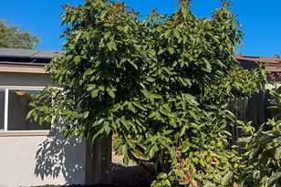 5397 Stanford Dr, Santa Maria, CA 93455 - Photo 43