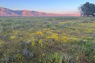 2968 Washington St, Cuyama, CA 93254 - Photo 37