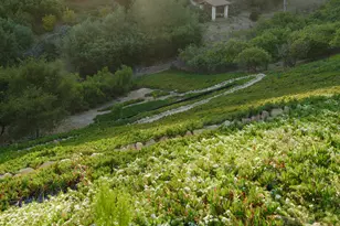 1045 Via Tranquila, Santa Barbara, CA 93110 - Photo 29