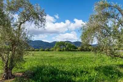 0 White Oak Road, Santa Ynez, CA 93460 - Photo 13