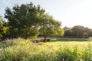 568 Toro Canyon, Montecito, CA 93108 - Photo 27