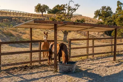 3110 Acampo Road, Los Olivos, CA 93441 - Photo 39