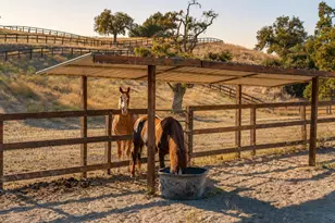 3110 Acampo Rd, Los Olivos, CA 93441 - Photo 39