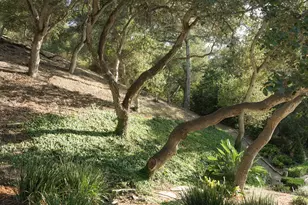 4585 Vieja Dr, Santa Barbara, CA 93110 - Photo 23