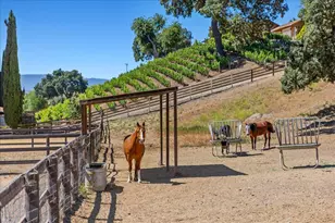 2279 Alamo Pintado Rd, Solvang, CA 93463 - Photo 49