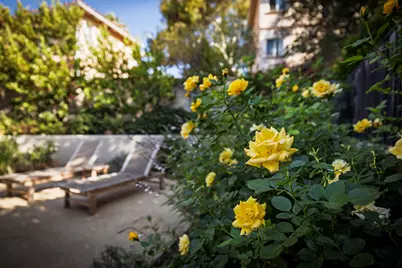 1806 Lighthouse Way, Santa Barbara, CA 93109 - Photo 27