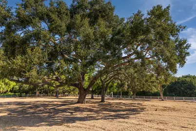 1665 N Refugio Road, Santa Ynez, CA 93460 - Photo 7