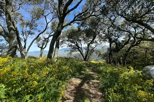 6572 Stagecoach Rd, Santa Barbara, CA 93105 - Photo 41