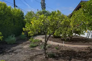 515 Calle Alamo, Santa Barbara, CA 93105 - Photo 33