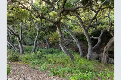 2889 Hidden Valley Lane, Montecito, CA 93108 - Photo 5