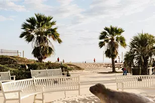 231 Linden Ave, Carpinteria, CA 93013 - Photo 29