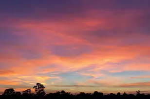 349 Ash Ave, Carpinteria, CA 93013 - Photo 35