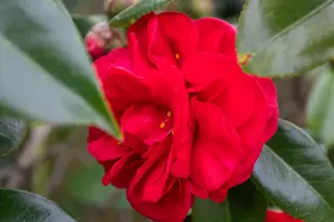 7075 Del Norte Dr, Goleta, CA 93117 - Photo 29