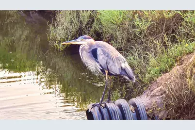 349 Ash Avenue #Spc 17, Carpinteria, CA 93013 - Photo 43