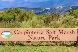 349 Ash Ave, Carpinteria, CA 93013 - Photo 37