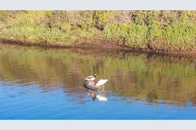 349 Ash Avenue #Spc 17, Carpinteria, CA 93013 - Photo 43