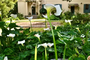 22 Hollister Ranch Rd, Goleta, CA 93117 - Photo 15