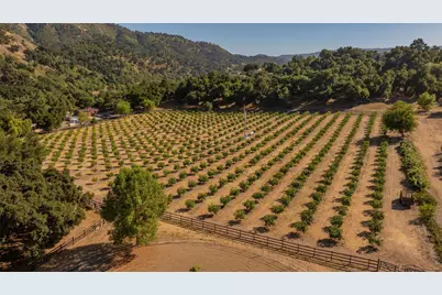 10829 Oak Knoll Road, Ojai, CA 93023 - Photo 19