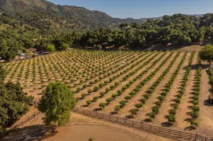 10829 Oak Knoll Rd, Ojai, CA 93023 - Photo 19