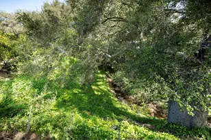 1256 Camino Palomera, Santa Barbara, CA 93111 - Photo 25