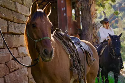 1915 Monte Alegre Drive, Carpinteria, CA 93013 - Photo 47