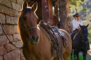 1915 Monte Alegre Dr, Carpinteria, CA 93013 - Photo 47