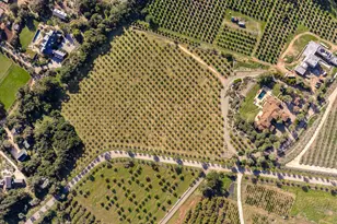 1915 Monte Alegre Dr, Carpinteria, CA 93013 - Photo 41