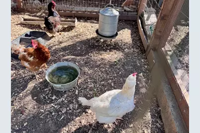 1172 Cuesta Street, Santa Ynez, CA 93460 - Photo 49