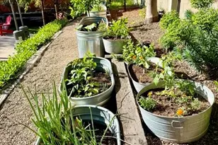 1172 Cuesta St, Santa Ynez, CA 93460 - Photo 45