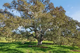 970 College Canyon Rd, Solvang, CA 93463 - Photo 39