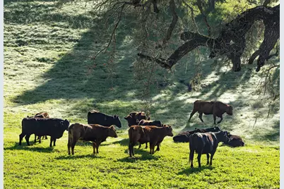 3009 Woodstock Road, Santa Ynez, CA 93460 - Photo 31