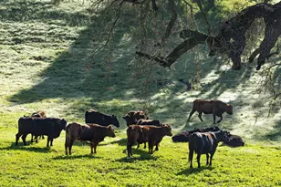 3009 Woodstock Rd, Santa Ynez, CA 93460 - Photo 31