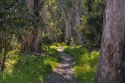 7569 Newport Drive, Goleta, CA 93117 - Photo 7