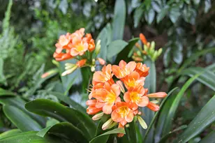 2135 Veloz Dr, Montecito, CA 93108 - Photo 27