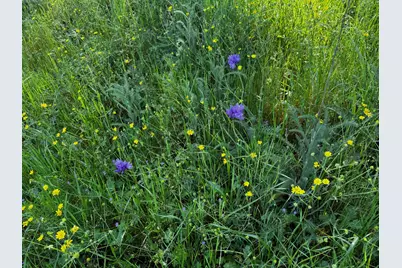 0 Alisos Canyon Road, Los Alamos, CA 93440 - Photo 41